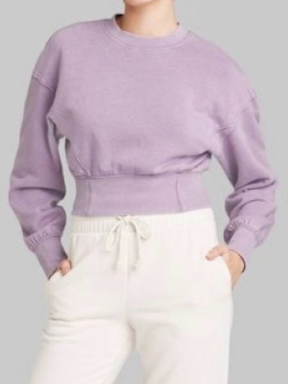 wild fable Lavender Cropped Crewneck Sweater